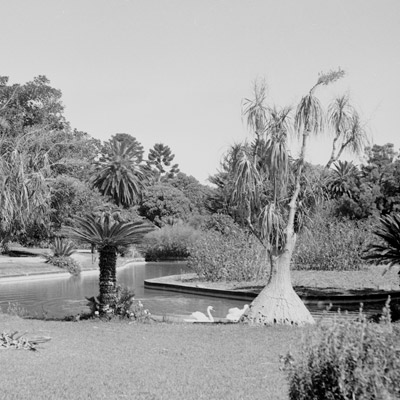 Jardim-Museu Agrícola Tropical