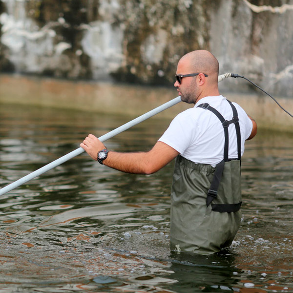 Trabalhos de translocação dos peixes do Tanque do Palácio para o Lago Principal